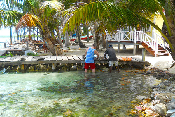 Joe Jo's By The Reef Tobacco Caye Hotel
